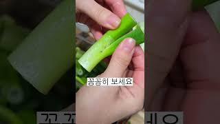 #집밥레시피 #대파손질 #식재료 #식재료손질 #재료손질 #야채손질 #집밥만들기 #그리미홍꽃