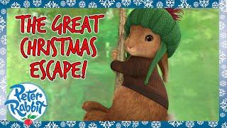 @OfficialPeterRabbit  - ️ The Great Christmas Escape! ️ | 30+ Mins | Cartoon for Kids