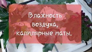 Влажность воздуха для комнатных растений и капилярные маты, их использование.