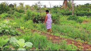 Produtora rural do município de Palmeirândia no Maranhão.