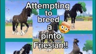 ATTEMPTING TO BREED A COLOURFUL PINTO FRIESIAN!!! *equestrian the game*