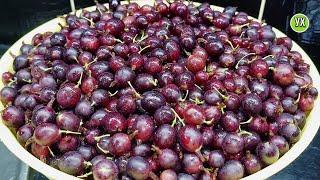 Gooseberries for winter. Kompot WITHOUT SUGAR and jam in 30 minutes.