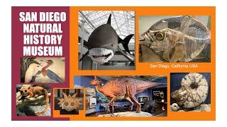 Natural History Museum San Diego tour #BalboaPark #SanDiego #California