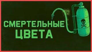 Edu: Смертельные цвета