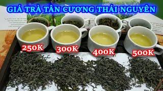 Giá Chè Búp Tân Cương - Giá Trà Thái Nguyên | Ẩm Thực Bá Đạo