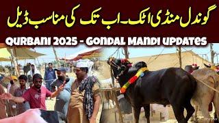 Gondal Mandi Part 2 - Latest update Qurbani 2025 - Cow Mandi 2025 - Live Bargaining 2025 Mandi
