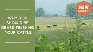 Why you should be grass-finishing your cattle | Joel Salatin's Salad Bar Beef Video Course Trailer