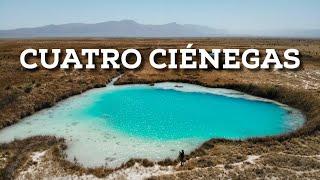 El oasis del desierto mexicano - Cuatro Ciénegas