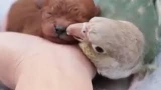 Милота да и только! Ч.6