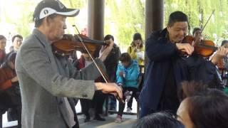 An impromptu walk in the Park 2 violins and an Accordion Diddy Wheldon