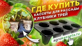 ГДЕ КУПИТЬ КАССЕТЫ ДЛЯ РАССАДЫ ТРЕЙ. ПРОМОКОД НА СКИДКУ от 7% до 30% в agrokasseta.ru