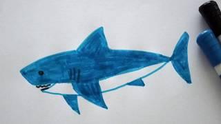  Ganz einfach Hai zeichnen lernen - How to draw a shark / fish of prey - рисовать акулу