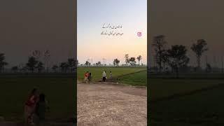 Old is golod