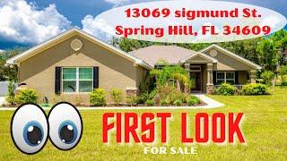 13069 Sigmund Street Spring Hill, Florida homes for sale