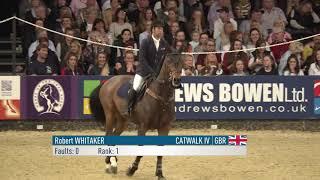 HOYS 2017 Puissance Highlights