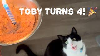 Toby the cat has a birthday celebration!