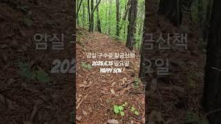 임실 구수골 황금 산책