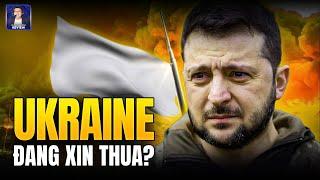 TỔNG THỐNG ZELENSKY XIN MỸ HỖ TRỢ CẦU HOÀ NGA: UKRAINE ĐÃ ĐẦU HÀNG?