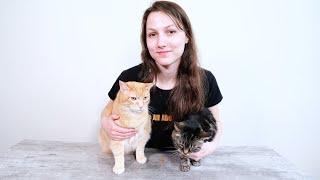 A Day in the Life of a Cat Guardian (And Cat YouTuber!)