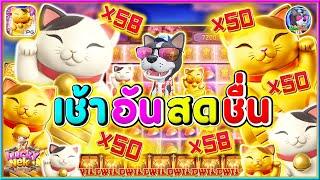 Lucky Neko │ ลักกี้เนโกะ แมวPGเช้า อันสดชื่น!!