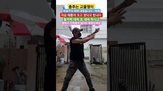 춤추는 고물쟁이 비설거지? 하러 내렸습니다#shotrs/태풍이 오고 있습니다 대비하세요 /..행복 바이러스를 꿈꾸며/구독️ 부탁합니다/#거북이 #빙고 #비설거지#고물쟁이