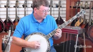 Stelling Golden Cross 5-String Banjo