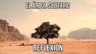 REFLEXIÓN EL ÁRBOL SOLITARIO, Reflexiones Diarias, Cortas, de Vida, del Alma, Mejor Persona, De Dios