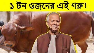 ১ টন ওজনের এই গরু গুলোকে দেখলে অজ্ঞান হয়ে যাবেন | 10 Biggest Bulls in the World | Science BD