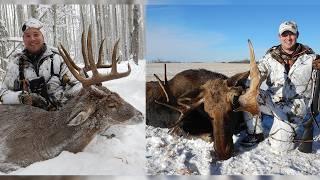 Big Bucks & Bull Moose in Alberta | Canada in the Rough