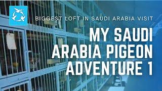 My Saudi Arabia Pigeon Adventure 1: Biggest Loft in Saudi Visit