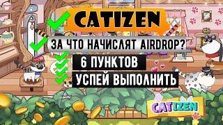 CATIZEN - За что НАЧИСЛЯТ AIRDROP? Все УСЛОВИЯ [$CATI]