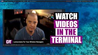 Watch Videos In Your Linux Terminal