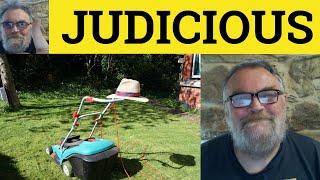  Judicious Meaning - Judicious Examples - Judicious in a Sentence - Define Judicious - Formal