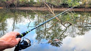 Creek Fishing For MY LUNCH!! (Cold Weather Fishing)