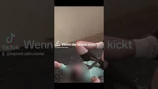 @Provinzband x @officialcasperxo Videocredit:@dj-aca@Frühstücksfernsehen@Haematom