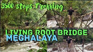 Meghalaya double decker living root bridge | মেঘালয় এর জীবন্ত সেতু | Cherapunjee