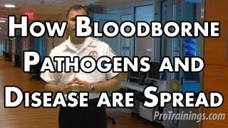 How Bloodborne Pathogens and Disease are Spread