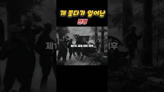 개 쫓다 일어난 황당한 전쟁