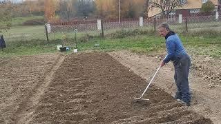  ПОСАДКА ЦИБУЛІ та МОРКВИ під ЗИМУ. Садимо з чоловіком удвох.