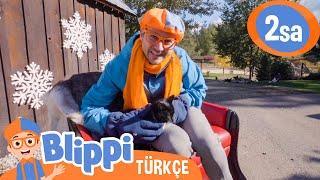 Blippi'nin Yılbaşı Macerası  Blippi | Çocuk Çizgi Filmleri | Moonbug Kids Türkçe