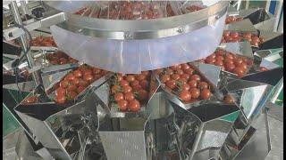 Cherry tomato tray packing line