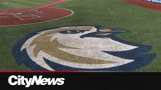 Riverhawks Attract interest from Pro leagues