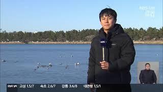 2024. 12. 20. KBS강릉 930뉴스