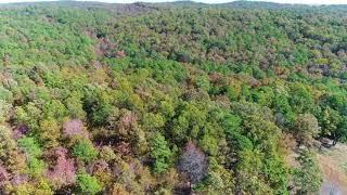 5 acres w/ $500 Down Payment Owner Financing! Homesteader Friendly Tract! - InstantAcres.com PR11B