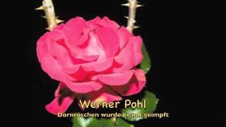 Werner Pohl - Dornröschen wurde krank geimpft