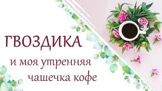 Как можно использовать эфирное масло гвоздики?  Польза эфирного масла гвоздики