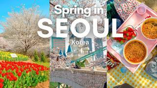 10 Best Cherry Blossom Spots in Seoul  | Aesthetic cafes, Hangang picnic | Spring in Seoul VLOG