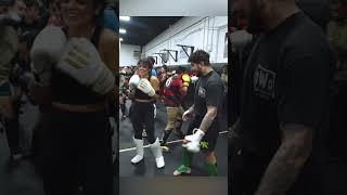 UFC Champ Alex Pereira defends Nina Drama against Dillon Danis LOL #shorts #mma #ufc