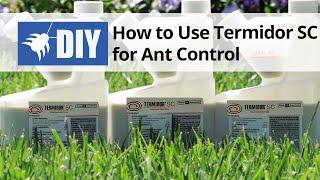 How to Use Termidor SC For Ant Control