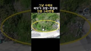 그냥 사세요~대지240평 “옛집터” 단돈140만원~낚시,차박,캠핑만 해도 본전 뽑겠다[땅지통]